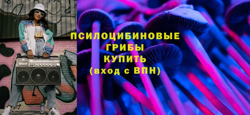 Псилоцибиновые грибы MAGIC MUSHROOMS  Хотьково 